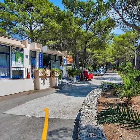 Mobile Homes & Basko Polje Holiday park *